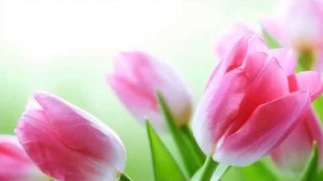 Мантра, открывающая внутреннее видение