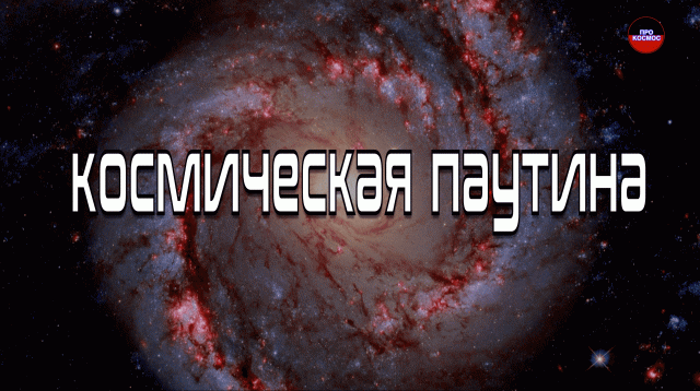 За пределами галактики. Космическая паутина