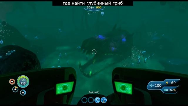 где найти глубинный гриб subnautica