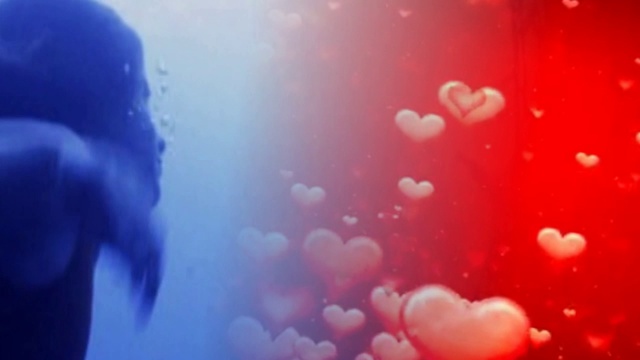 Glenn Medeiros - Nothings Gonna Change My Love For You