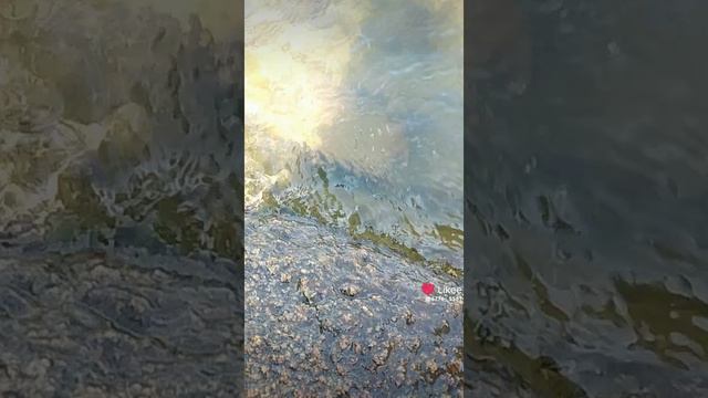 Like_7387007153694535883.mp4