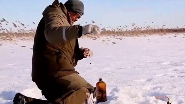 Как правильно выставить жерлицы зимой!