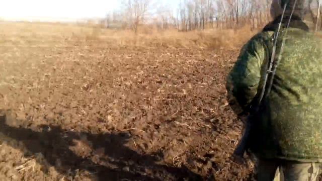 Охота с пневматикой на куропатку/фазана,нашел дупла куницы!