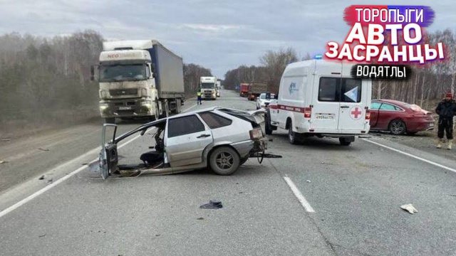 Не Растерялся! Торопыги и Водятлы Осенний Сезон