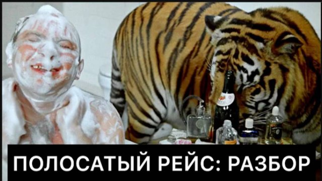 ПОЛОСАТЫЙ РЕЙС: РАЗБОР ФИЛЬМА