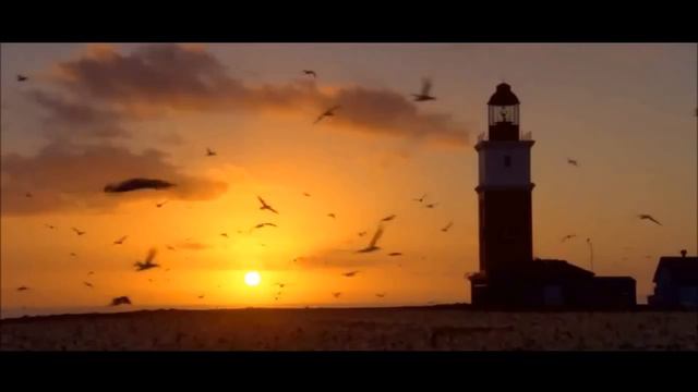 Enya - Echoes In Rain (DRIFTLESS Tropical Remix)