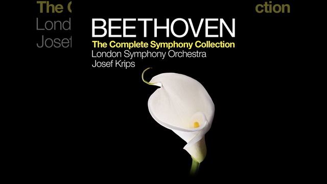 Symphony No. 1 in C Major, Op. 21: II. Andante cantabile con moto