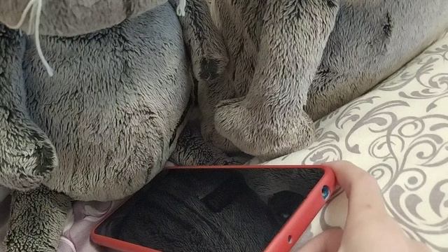 басик в школе. жирная двойка 2😹😹😹🤣🤣😿