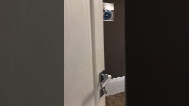 video5431613949751611590