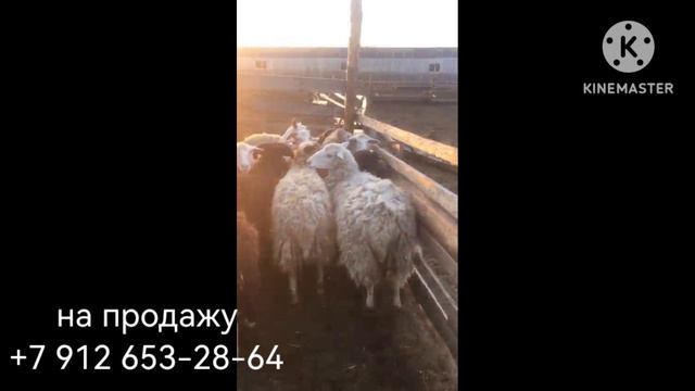 на продажу