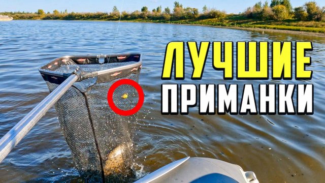 Две ПРИМАНКИ на ОКУНЯ и ЯЗЯ, которые сводят рыбу с ума. Рыбалка на спиннинг на джиг и воблеры