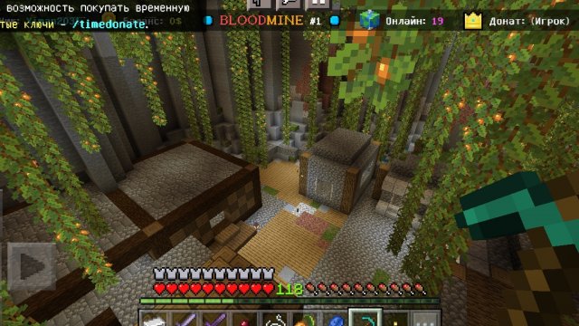 выживание на сервере блудмайн