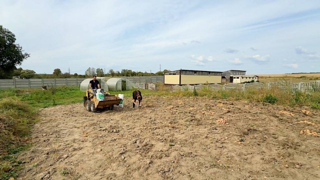 Давно нужно было это сделать. Собрали огромный урожай картошки. Накормим всех. Жизнь простых людей.