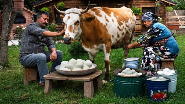 Сыр Адана из Коровьего Молока: Деревенские Традиции 🐄🍃