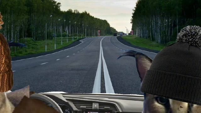 шлепа сбежал. 5 серия