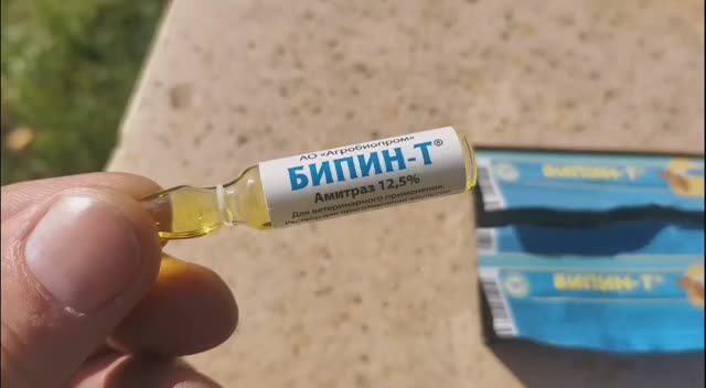 Осенняя обработка пчёл Бипином-Т от клеща Варроа!!!