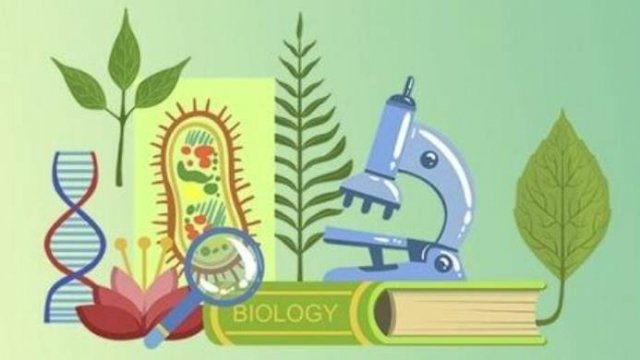 Биология 5 класс. Разнообразие растений.--