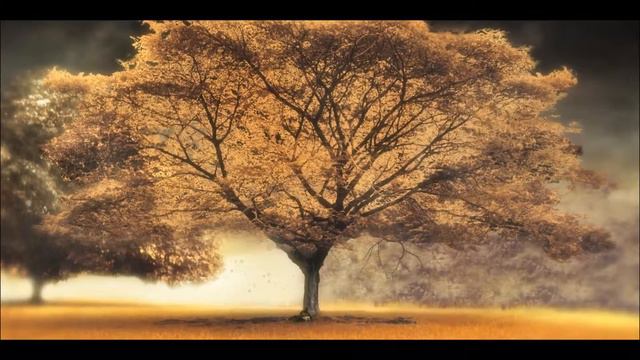 ARASH feat Helena Broken Angel Official Video