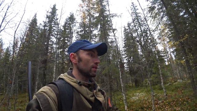 В ТАЁЖНУЮ Избу на ОХОТУ(2часть).Много рябчика в угодьях
