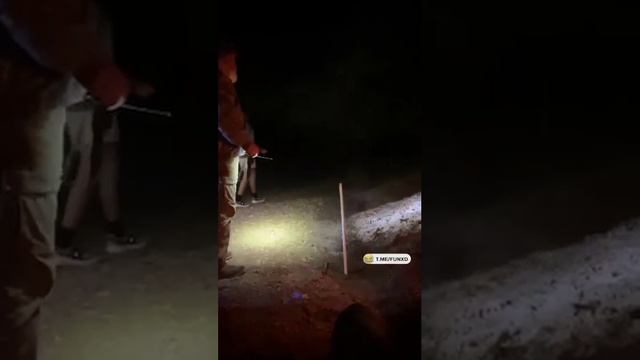 Всё рассчитал😆