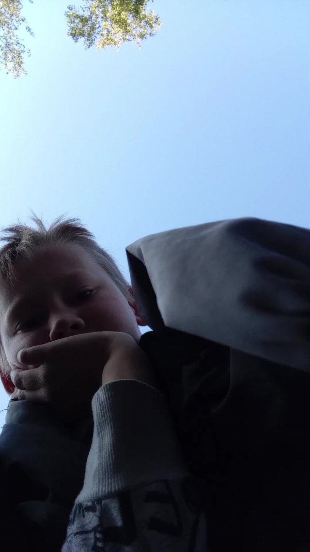 т