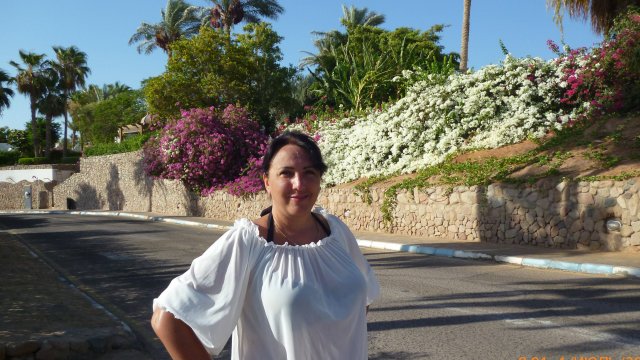 Египет.Domina Coral Bay Harem. Завтрак.Море.Бассейн.Ужин.Вечер в отеле.