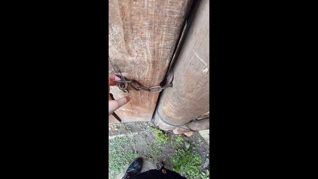 мой день на даче