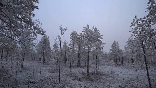 Продолжаю ставить капканы(2022-23г) 2часть.Охота с МЕЛКАШКОЙ