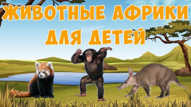 Африканские животные ¦ карточки Домана ¦ Раннее развитие детей ¦ Природа