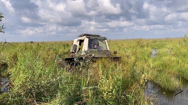 На болото