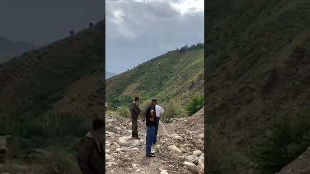 Хабзи мохи парвари