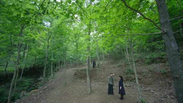 Чудо-целитель 1 сезон 33 серия