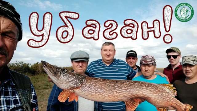 УБАГАН РЫБАЛКА НА ЩУКУ В БОЛЬШОЙ КОМПАНИИ, СПИННИНГ, РЕЗИНКА, ШАШЛЫК ШУЛЮМ НА ДРОВАХ В КРУГУ ДРУЗЕЙ!