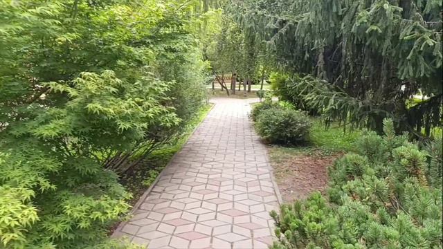 Рожденный бурей