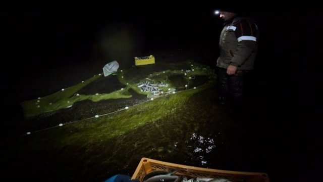 НОЧНАЯ РЫБАЛКА | ЛОВИМ РЯПУШКУ НЕВОДОМ | ОТЛИЧНЫЙ УЛОВ