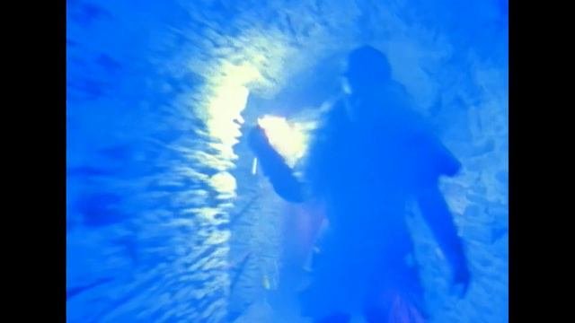 The Kelly Family - Why Why Why (Official Video)