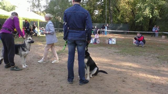 СЩ