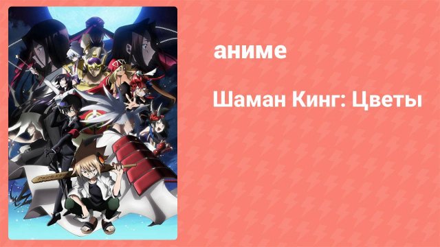 Шаман Кинг: Цветы 10 серия (аниме-сериал, 2024)