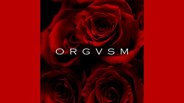 ORGVSM_ГОРЯЧАЯ МУЗЫКА ДЛЯ ДВОИХ ❤ ❤