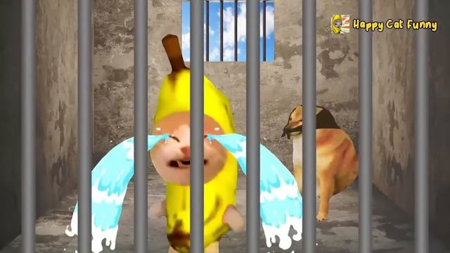 LIVE: Banana Cat and Friends | Happy Cat Compilation