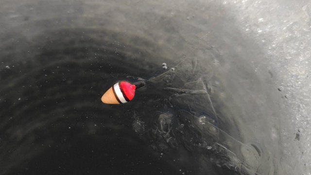 ЖОР ПЛОТВЫ НЕ ДАЕТ ОПУСТИТЬ - ЗИМНЯЯ РЫБАЛКА НА ПОПЛАВОК, КИВОК