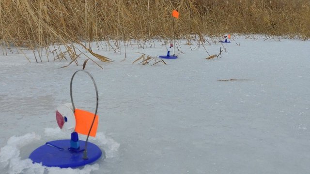 В ЭТОМ БОЛОТЕ МНОГО ЩУКИ - ФЛАЖКИ ТАК И ХЛОПАЮТ!! ЗИМНЯЯ РЫБАЛКА НА ЖЕРЛИЦЫ