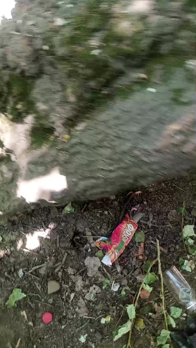 жопа