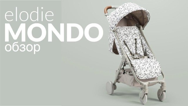 Обзор прогулочной коляска #Elodie MONDO