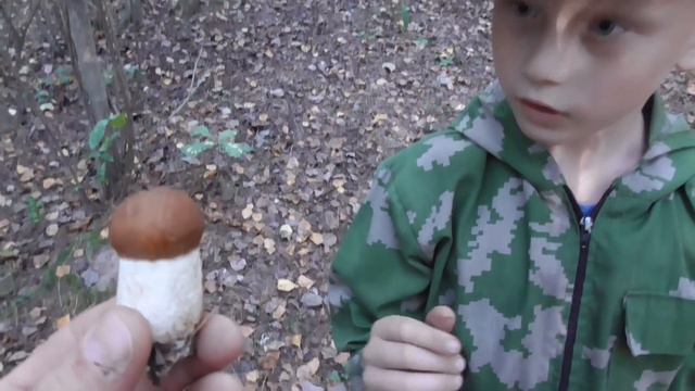 По ГРИБОЧКИ по ГРИБЫ! СЕНТЯБРЬСКИЕ ГРИБЫ!