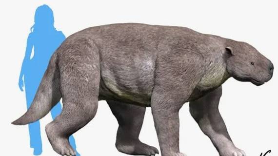 Барилямбда