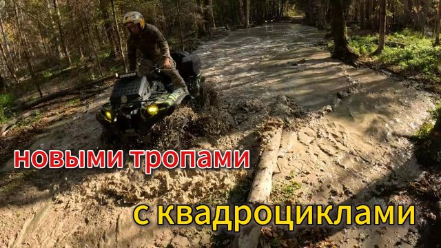 Новыми тропами с КВАДРИКАМИ | едем через Болото.