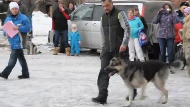 DSC 0212 Рядовость