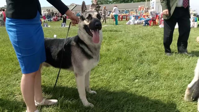 3 июня 2018 г.