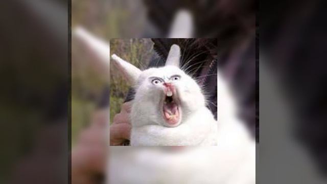 Eminem- A$$ like that (sped up)